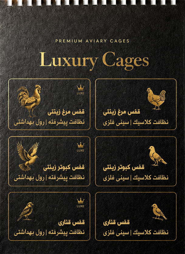 صفحه سه